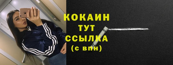 PSILOCYBIN Лиски
