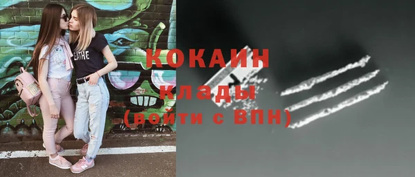 ПСИЛОЦИБИНОВЫЕ ГРИБЫ Лагань