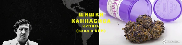PSILOCYBIN Лиски