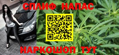 a pvp Гагарин