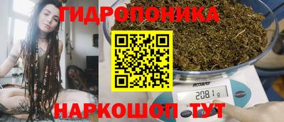 a pvp Гагарин