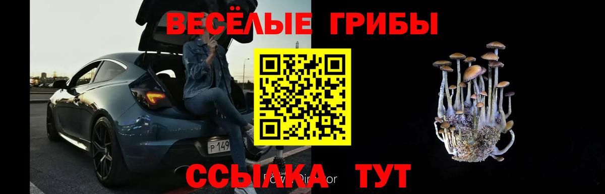 цена   Псилоцибиновые грибы ЛСД  Вход с VPN  Красногорск 